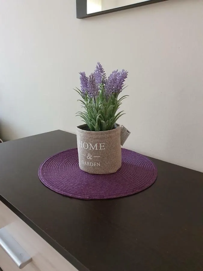 Orchid Studio Golden Sands Apartment
